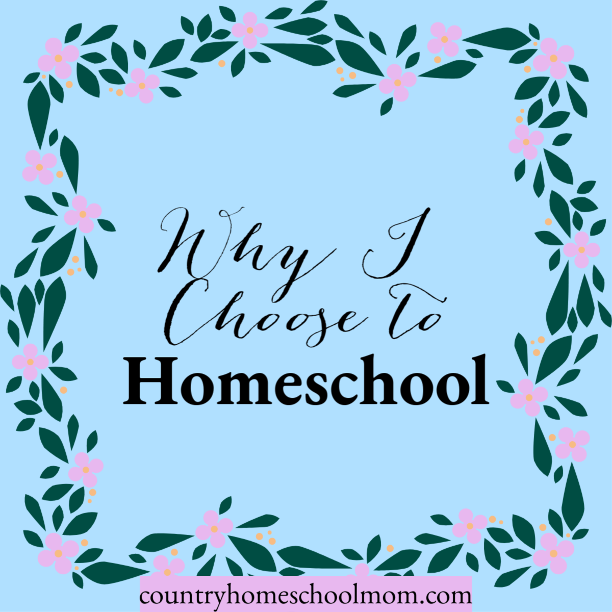 Why I Chose to Homeschool ⋆ Country Homeschool Mom